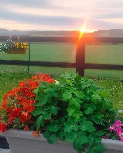 Vendégház Golf'inn Enniscrone